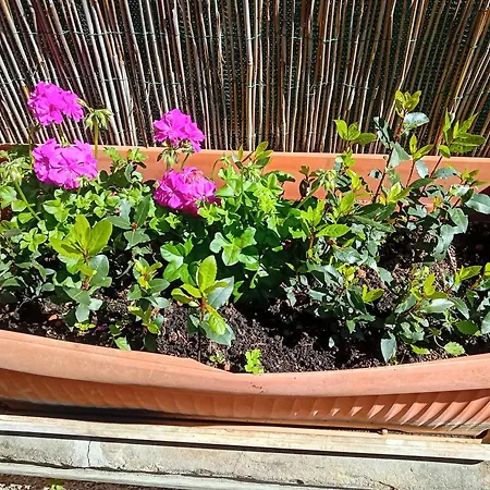 Luna In Storica, Garden And Parking, Lastrico Solare *