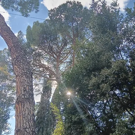 Luna In Storica, Garden And Parking, Lastrico Solare * 피렌체